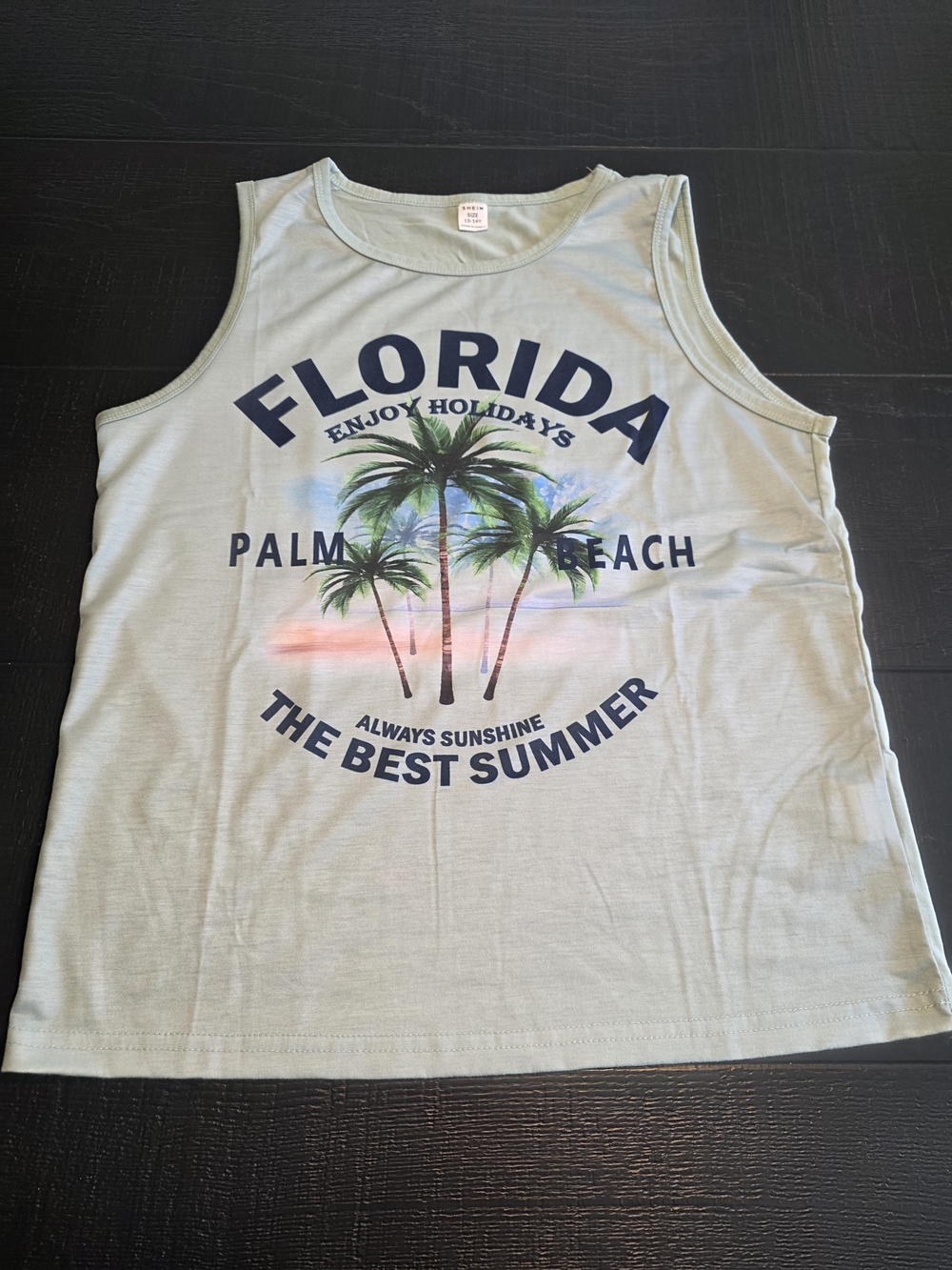 Florida Palm Beach Graphic Boy’s Swim Tank - Light Sage/Blue